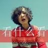 拉德斯基进行曲简谱